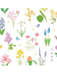 Fall Vacation 4th Album - 세상은 한 장의 손수건 CD