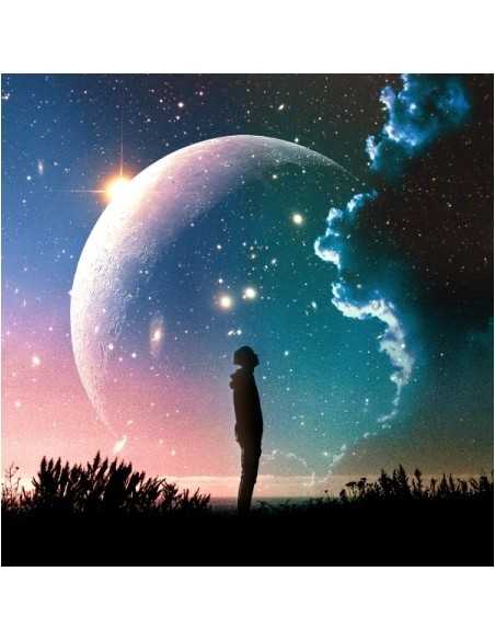 MONNI 5th Album - Firmament CD