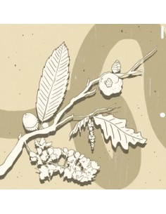 GEONU EP Album - SEASONS CD