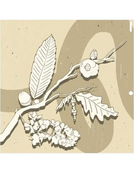 GEONU EP Album - SEASONS CD