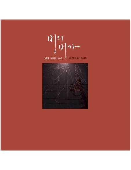 [LP] SON SUNG JAE Album - Elegy Of Rain (비의 비가) LP