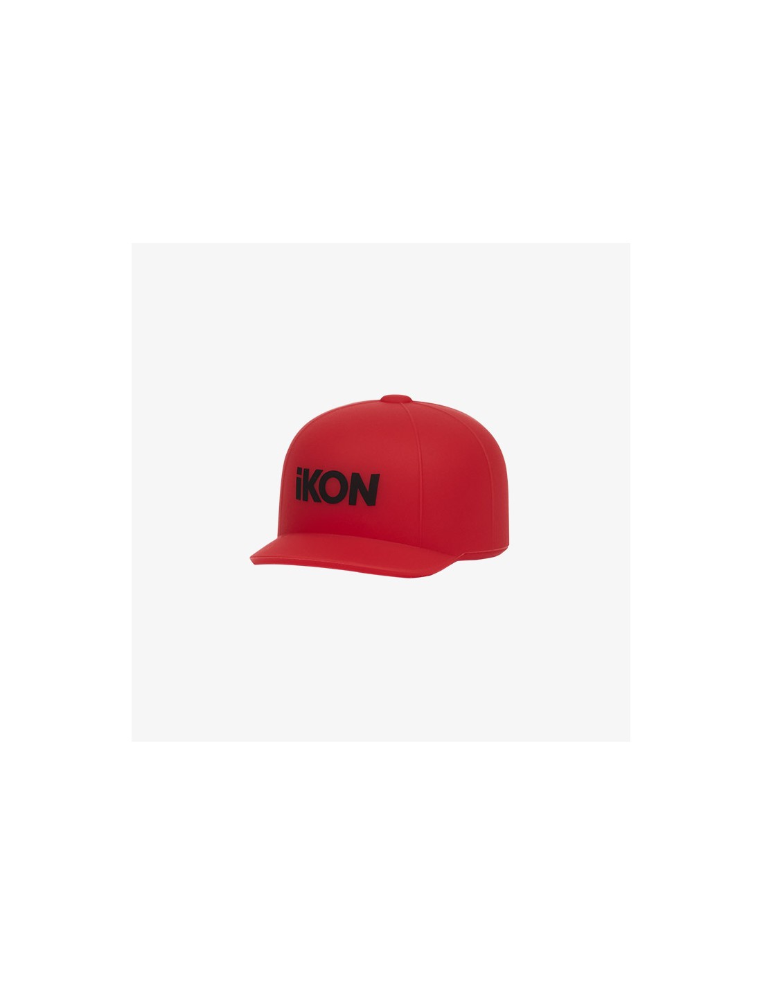 iKON CONCERT FLASHBACK Goods - KONBAT 