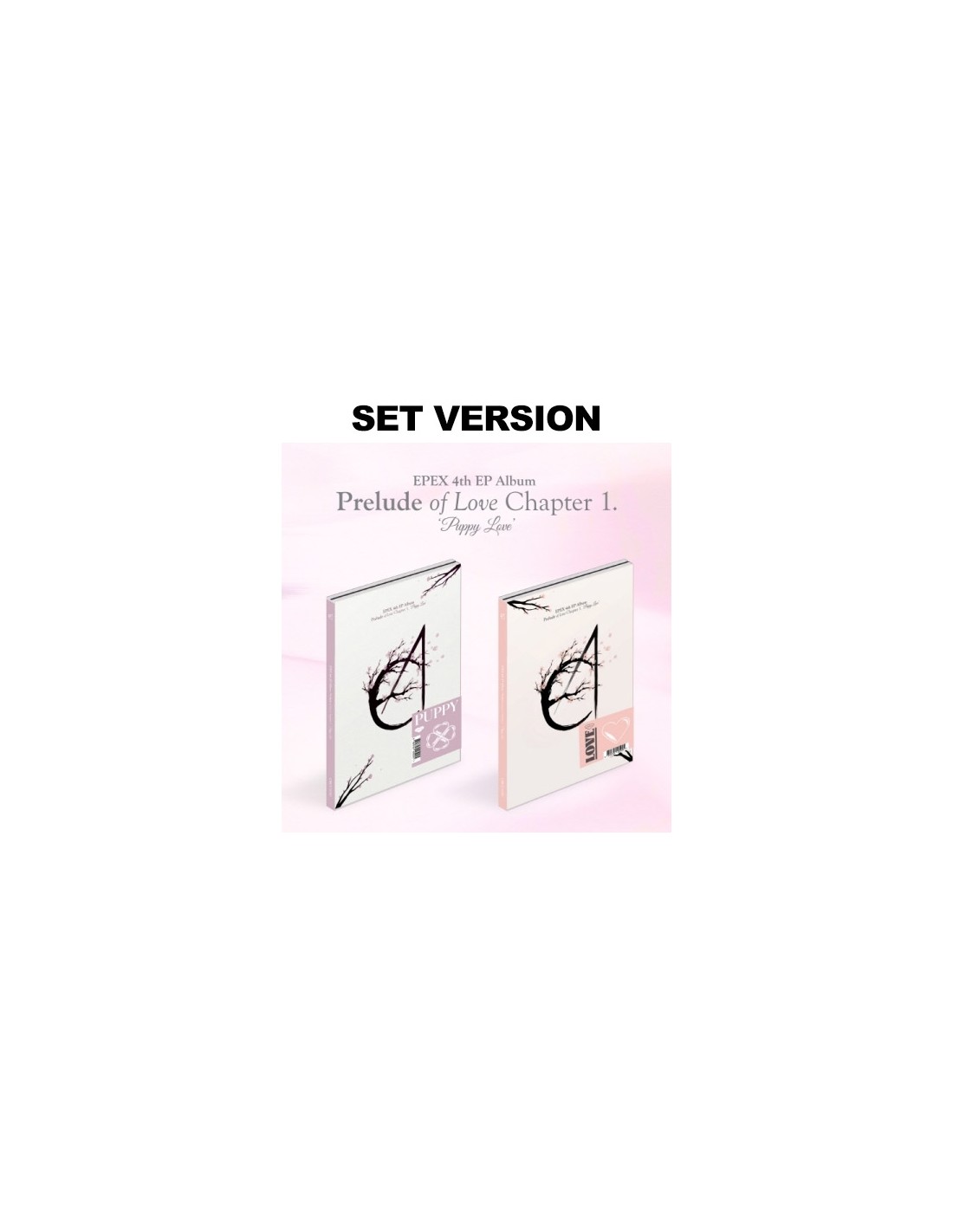 -set-epex-4th-ep-album-prelude