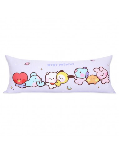 [BT21] BTS Nara Home Deco Collaboration - minini Long Pillow [Float]