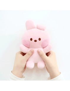 [BT21] BTS Nara Home Deco Collaboration - minini Soulmate...
