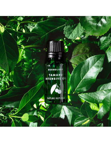 [ Nature Republic ] Herbology Tamanu Intensive Oil 20ml