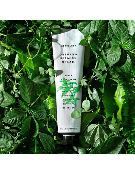 [ Nature Republic ] Herbology Oregano Blemish Cream 70ml