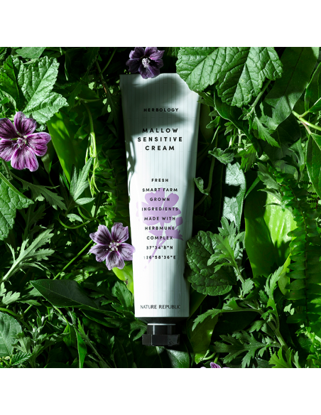 [ Nature Republic ] Herbology Mallow Sensitive Cream 70ml