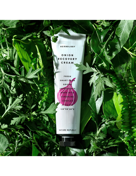 [ Nature Republic ] Herbology Onion Recovery Cream 70ml