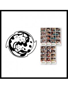 TEMPEST TEMSTREET Goods - RUG