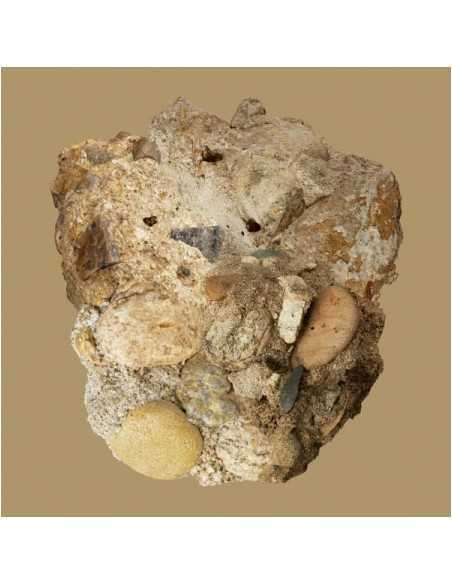 Car, the garden EP Album - 부재 CD