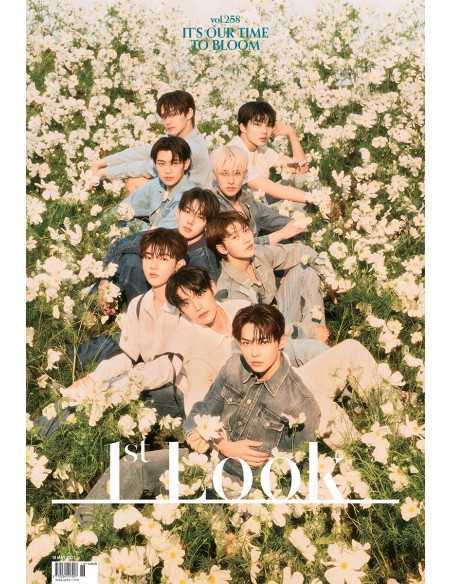 The First Look Vol.258