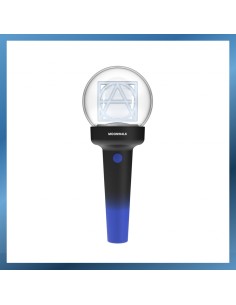 KPOPTOWN - Official K-Pop Light Sticks | Shop Your Favorite Group's Glow