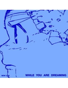 NEW LINK 1st Album - WHILE YOU ARE DREAMING CD