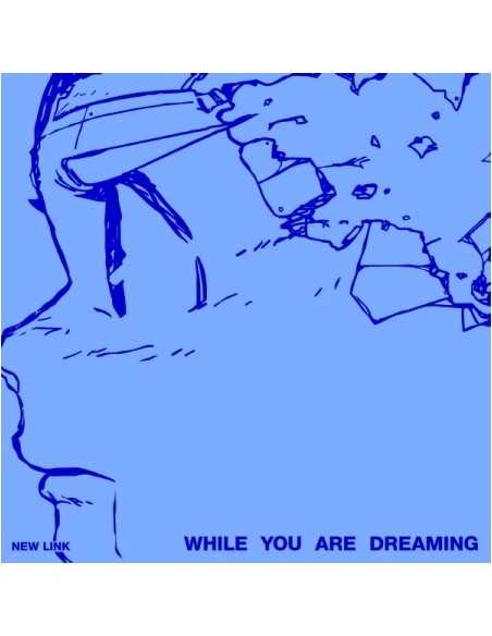 NEW LINK 1st Album - WHILE YOU ARE DREAMING CD