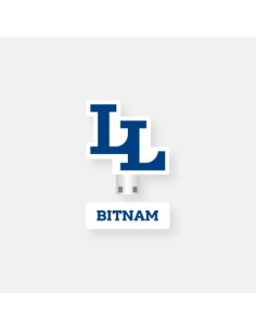 Libelante BITNAM UNIVERSITY Goods - USB