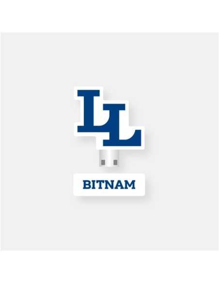 Libelante BITNAM UNIVERSITY Goods - USB