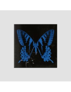 SONG SOHEE 1st EP Album - 공중무용 CD