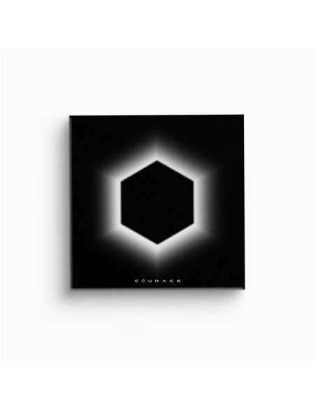 IÖN Album - CÖURAGE CD