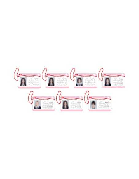 BABYMONSTER 1st Anniversary Goods - STUDENT ID CARD KEYRING