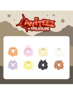本日24時まで値下げ中‼️ATEEZ ANITEEZ トンビョリ 3点セット