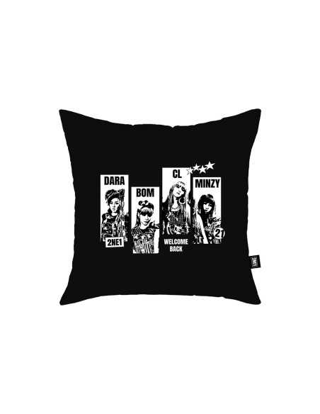 2NE1 WELCOMEBACKENCORE Goods - PHOTO CUSHION