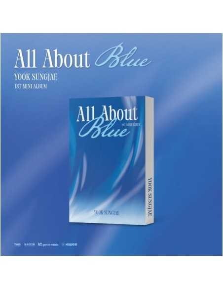 [Smart Album] YOOK SUNG JAE 1st Mini Album - All About Blue (PLATFORM Ver.)