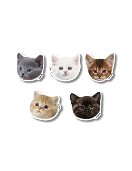 MEOVV 1st EP Goods - POP SOCKET