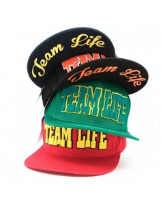 [CAP156] TEAM LIFE HIGH CUTTING SNAPBACK