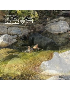[LP] GOGOHAWK Album - VOL.07 LP