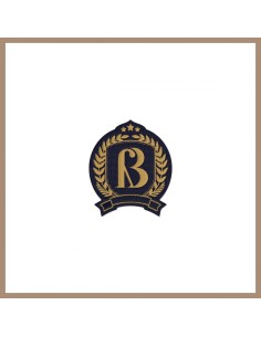 [Pre Order] BAE JIN YOUNG BEGIN, YOUNG Goods - Wappen Badge