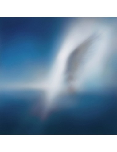 CAR, THE GARDEN EP Album - BLUE HEART CD