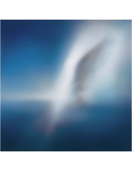 CAR, THE GARDEN EP Album - BLUE HEART CD