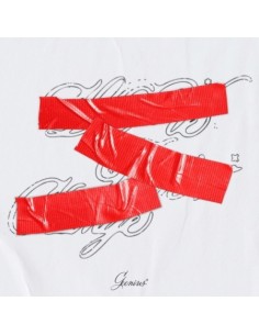 [Smart Album] GEENIUS 1st Inst Album - SPOILER BOOK QR VER.