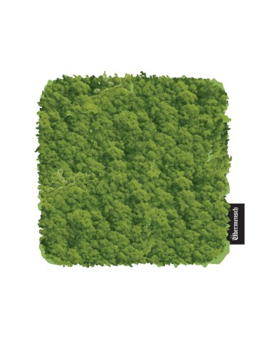 [Pre Order] G-DRAGON 2025 WORLD TOUR IN SEOUL...