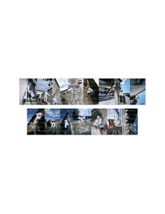 ENHYPEN THE SIN : VANISH Goods - Printed Photo