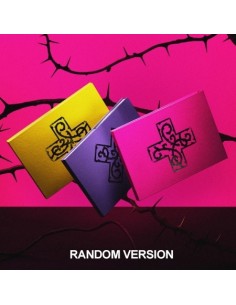 TXT Album - 7TH YEAR : 가시덤불에 잠시 바람이 멈췄을 때 (Random Ver.) CD