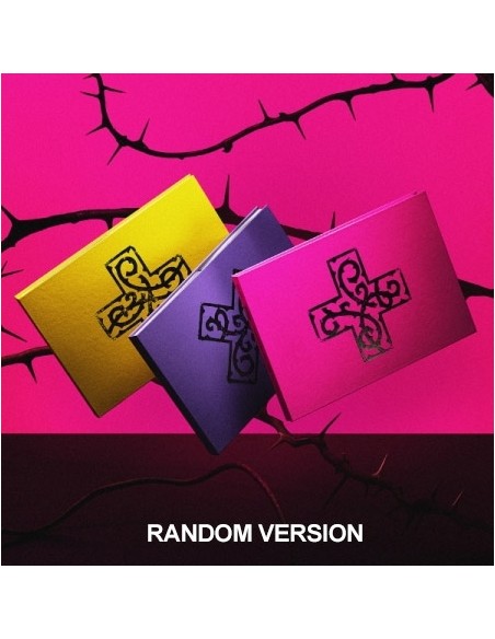 TXT Album - 7TH YEAR : 가시덤불에 잠시 바람이 멈췄을 때 (Random Ver.) CD