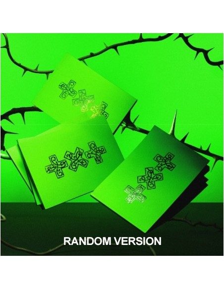 [THORN] TXT Album - 7TH YEAR : 가시덤불에 잠시 바람이 멈췄을 때 (Random Ver.) CD