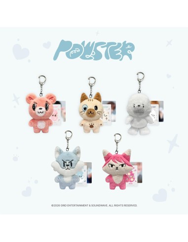 [Pre Order] POW CHARACTER POWSTER Goods -...