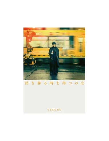 [Japanese Edition] SUPER JUNIOR YESUNG 2nd...