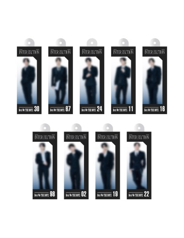 THE BOYZ INTER-ZECTION Goods - RANDOM MINIATURE...