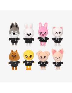 STRAY KIDS SKZOO Everywhere All Around The World Goods -...