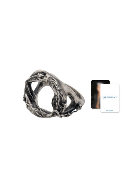 [Pre Order] TAEYANG QUINTESSENCE Goods - Silver Ring Set