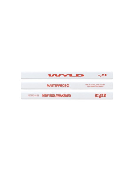 [Pre Order] TAEYONG WYLD Goods - WYLD PENCIL SET