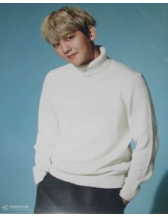 EXO Sing For You Goods - A4 Photo BAEKHYUN