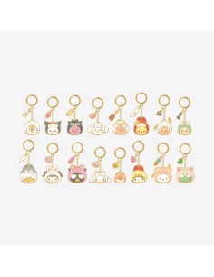 [Pre Order] STRAY KIDS SKZOO X SANRIO CHARACTERS Goods -...