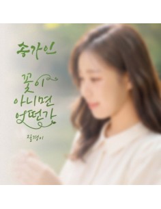 SONG GA IN Single Album - 꽃이 아니면 어떤가 CD