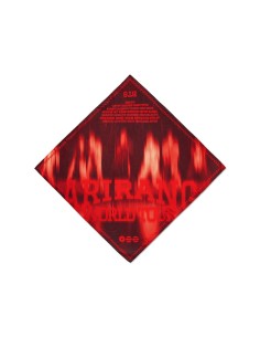 [2nd Pre Order] BTS TOUR ARIRANG 2nd Drop Goods - Scarf