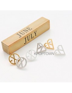 [EX100] Unique line Earring